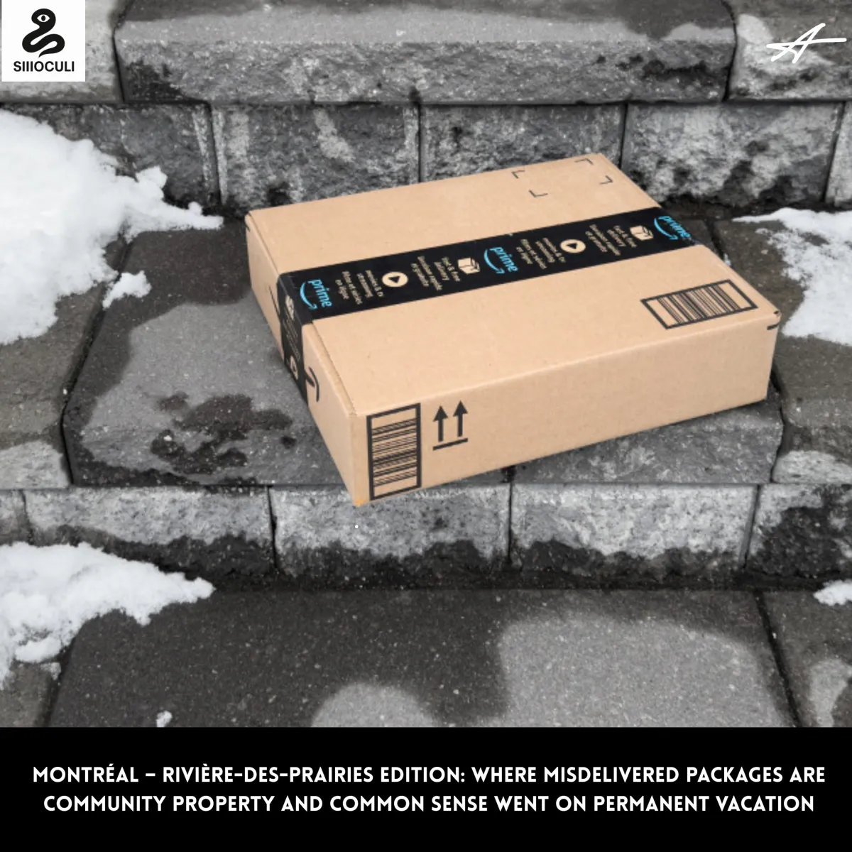Montréal – Rivière-des-Prairies Edition: Where Misdelivered Packages Are Community Property and Common Sense Went on Permanent Vacation